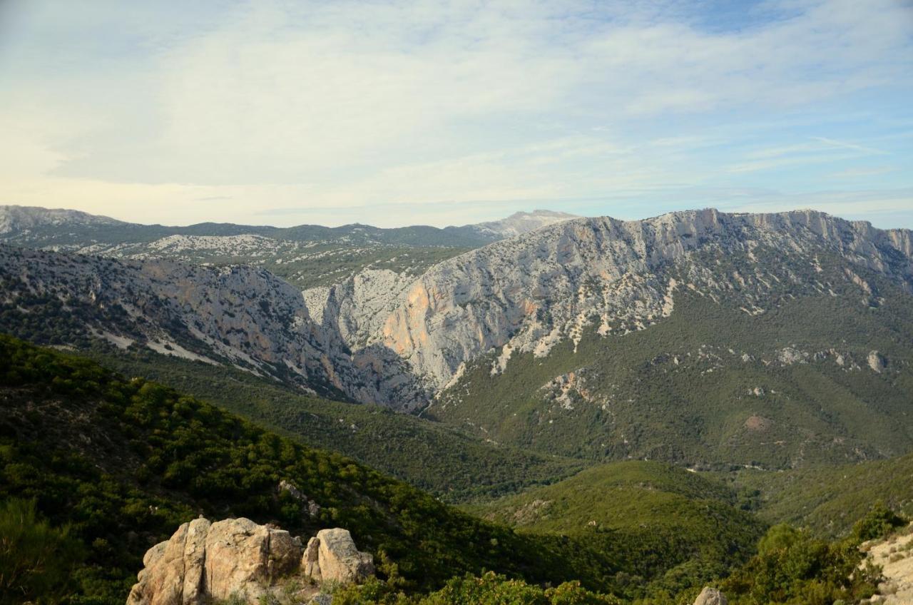 Casa Pilighitta Διαμέρισμα Dorgali Εξωτερικό φωτογραφία